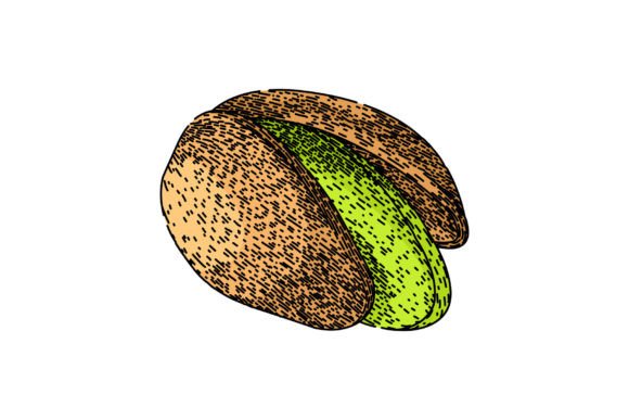 Download Ingredient Pistachio Nut Sketch Hand Dra - Ingredient Collection