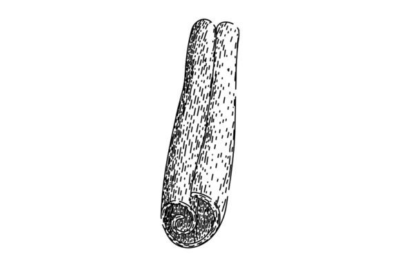 Download Ingredient Cinnamon Sketch Hand Drawn Ve - Ingredient Collection